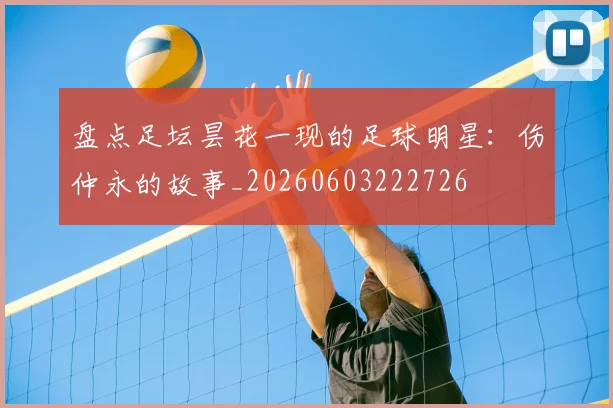 盘点足坛昙花一现的足球明星:伤仲永的故事_20260603222726