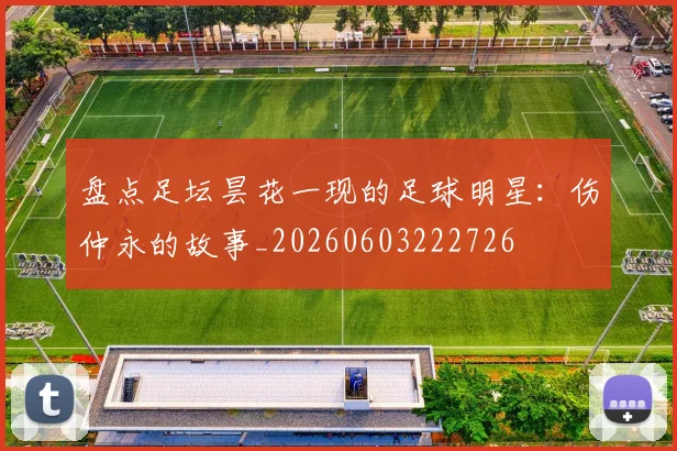 盘点足坛昙花一现的足球明星：伤仲永的故事_20260603222726